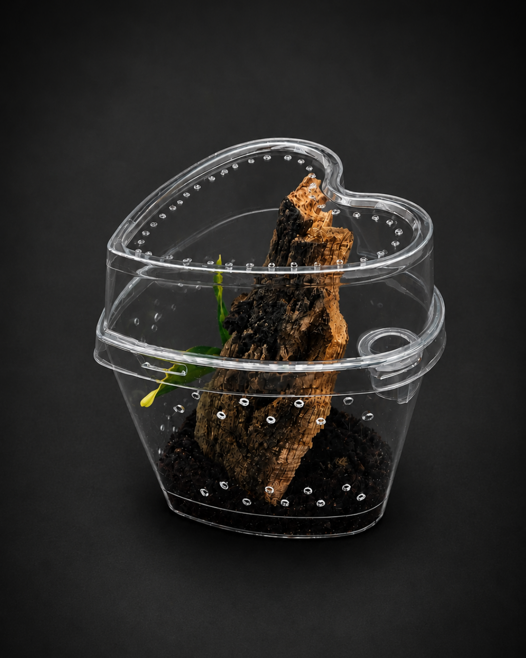 Complete Arboreal Sling Tarantula Enclosure | Heart-Shaped Habitat | Ready-to-Use Setup