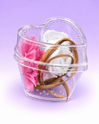 Heart-Shaped Decorated Jumping Spider Sling Enclosure