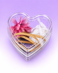 Heart-Shaped Decorated Jumping Spider Sling Enclosure