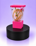 Prism Pod™ Jumping Spider Sling Kit