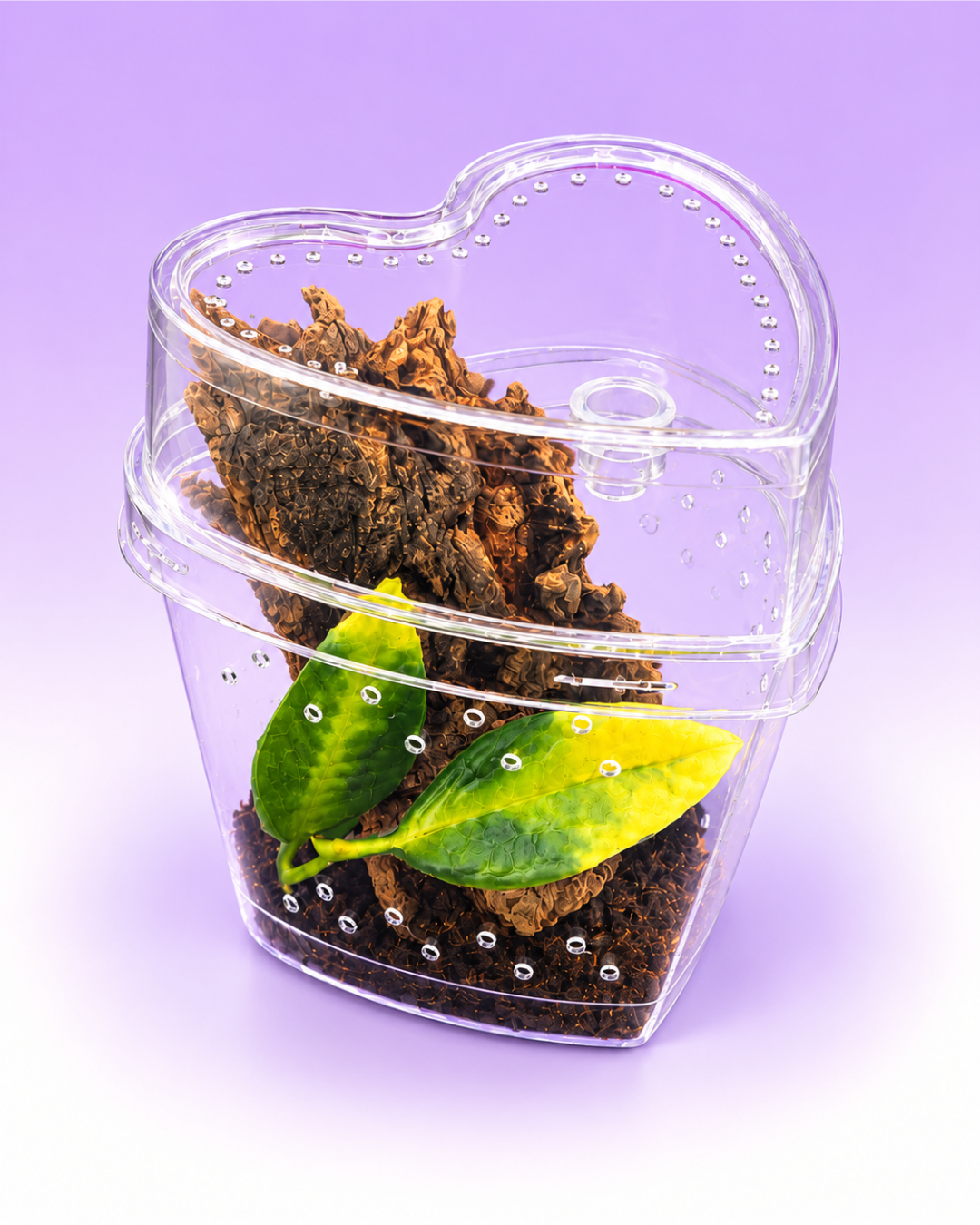 Heart-Shaped Arboreal Sling Habitat Kit
