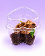 Heart-Shaped Arboreal Sling Habitat Kit