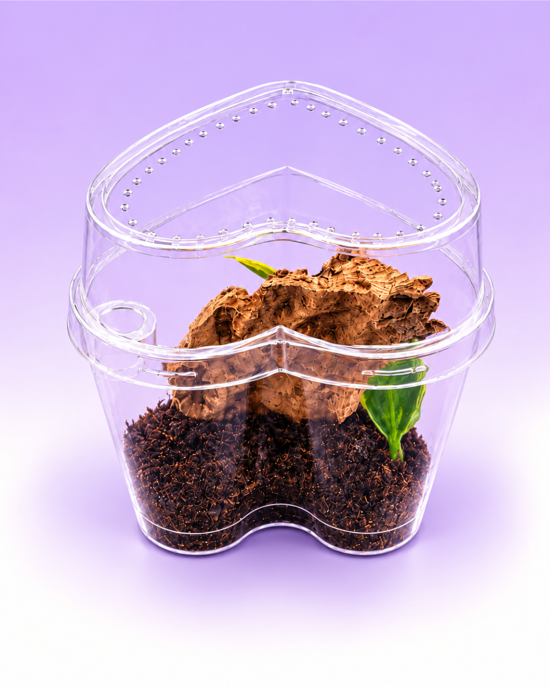Heart-Shaped Arboreal Sling Habitat Kit