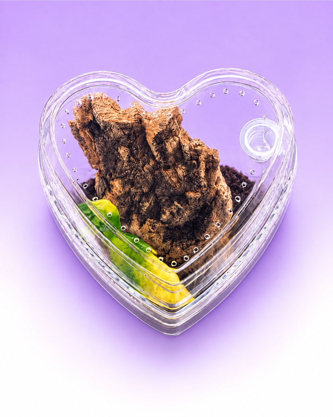 Heart-Shaped Arboreal Sling Habitat Kit