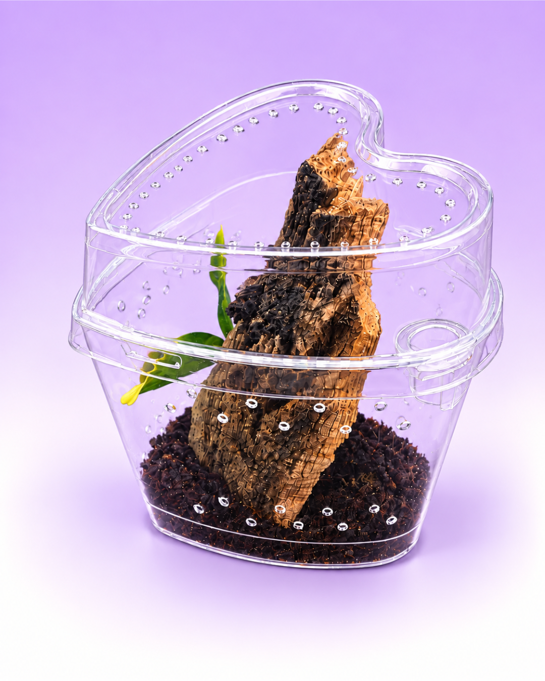 Heart-Shaped Arboreal Sling Habitat Kit