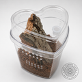 Heart-Shaped Arboreal Tarantula Sling Enclosure – Ready-Made Habitat