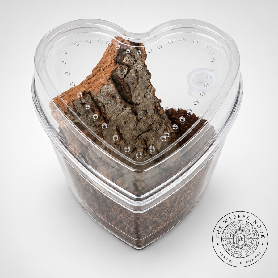 Heart-Shaped Arboreal Tarantula Sling Enclosure – Ready-Made Habitat