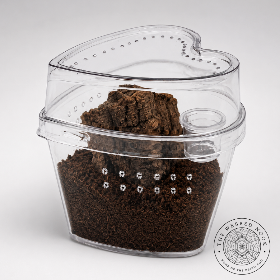 Heart-Shaped Arboreal Tarantula Sling Enclosure – Ready-Made Habitat