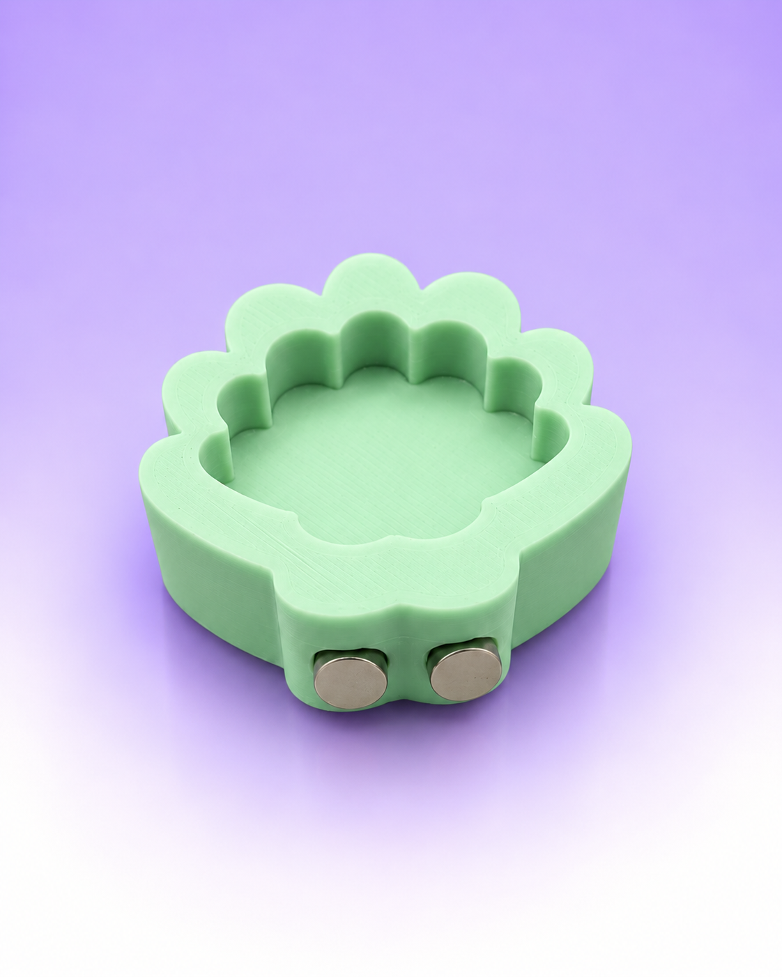 Magnetic Seashell-Shaped Jumping Spider Feeding Dish
