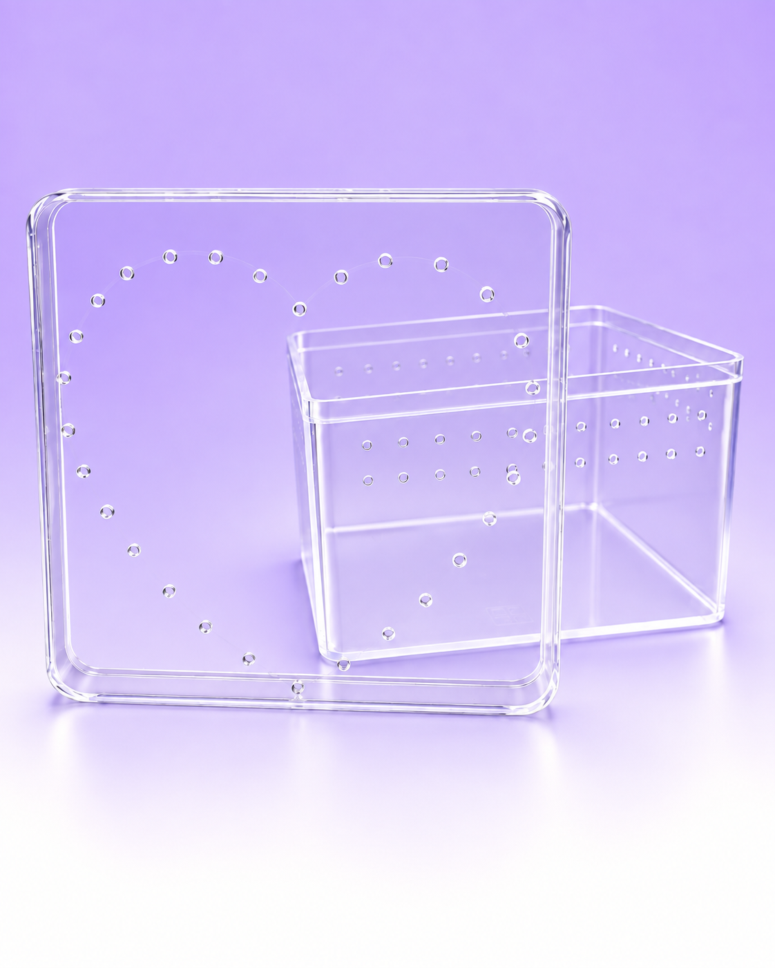 Nookling™ Terrestrial Enclosure