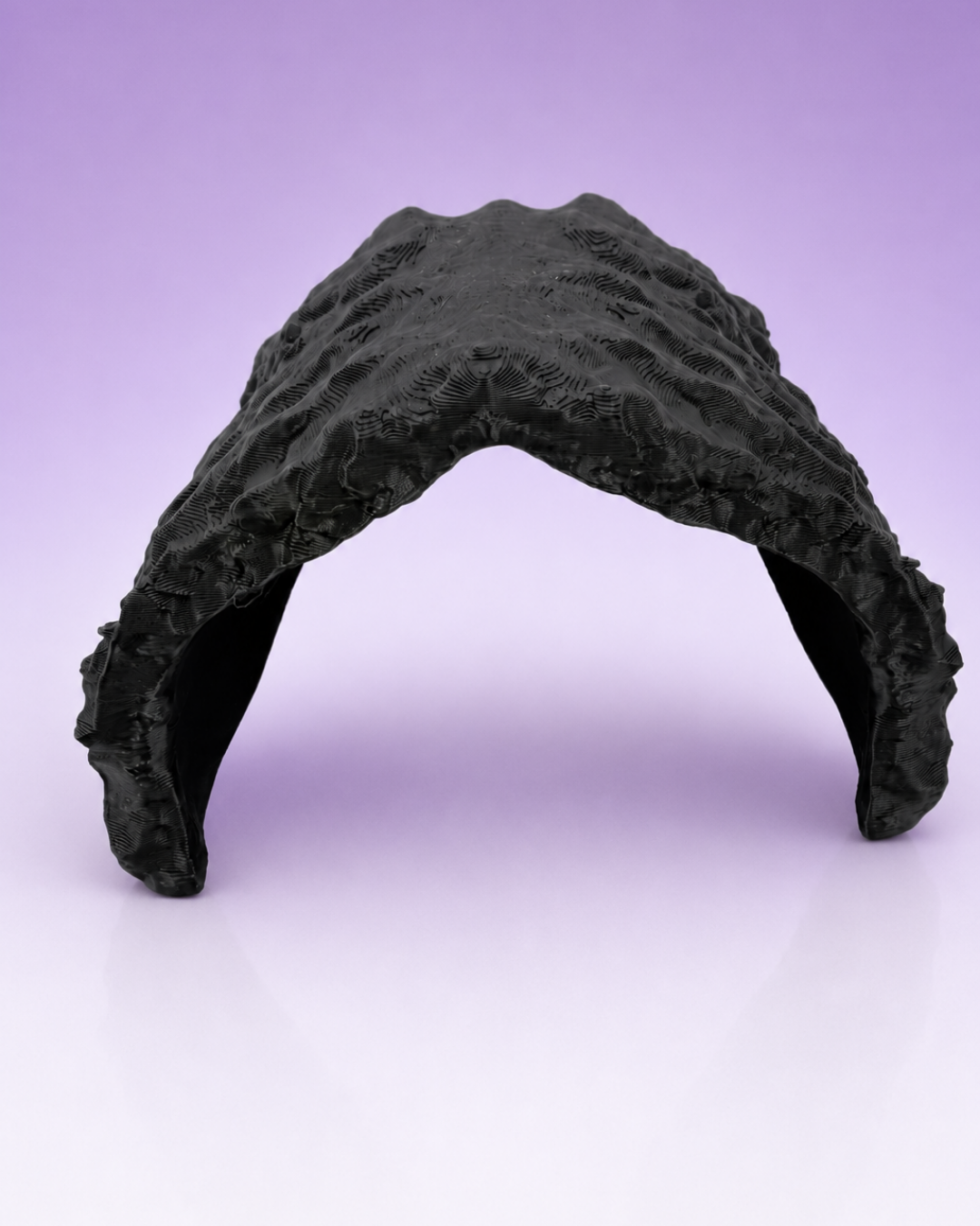 Terrestrial Naturalistic Rock Hide for Spiders