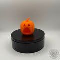 Jack-O’-Lantern Magnetic Jumping Spider Hide