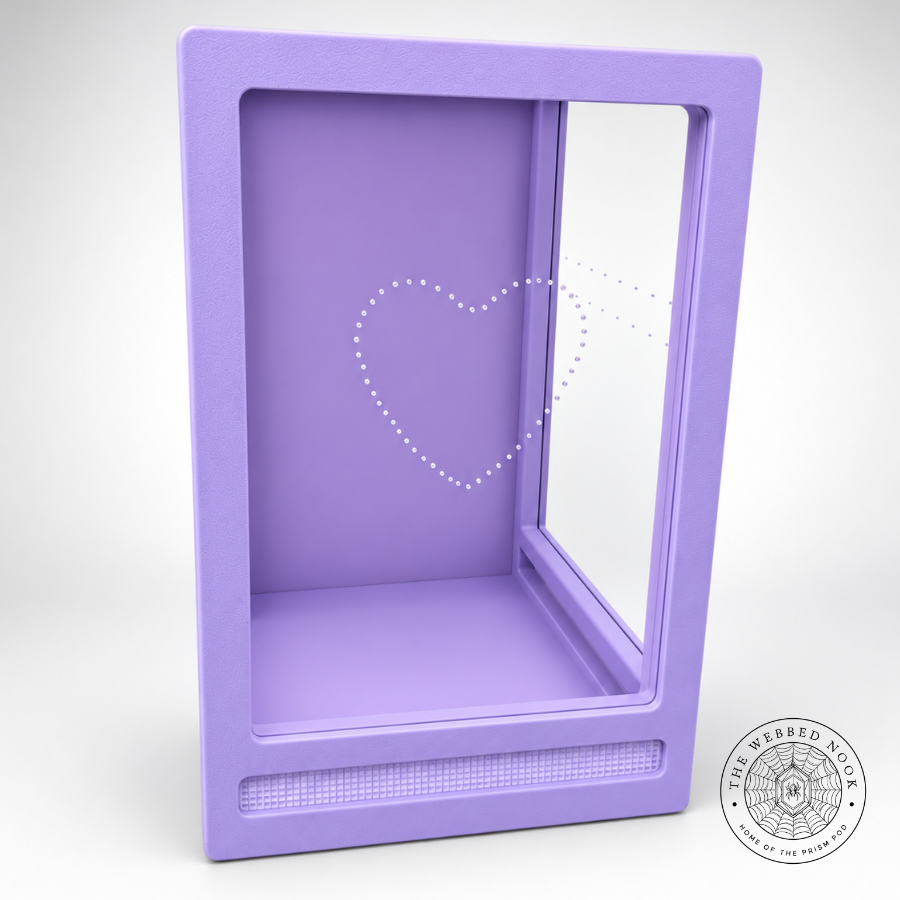 Custom 5x5x8 Jumping Spider Enclosure