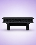 Magnetic Gothic Cathedral Jumping Spider Ledge
