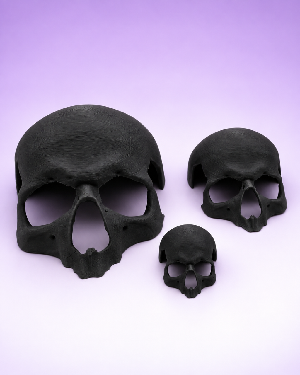 Skull Terrestrial Hide for Tarantulas