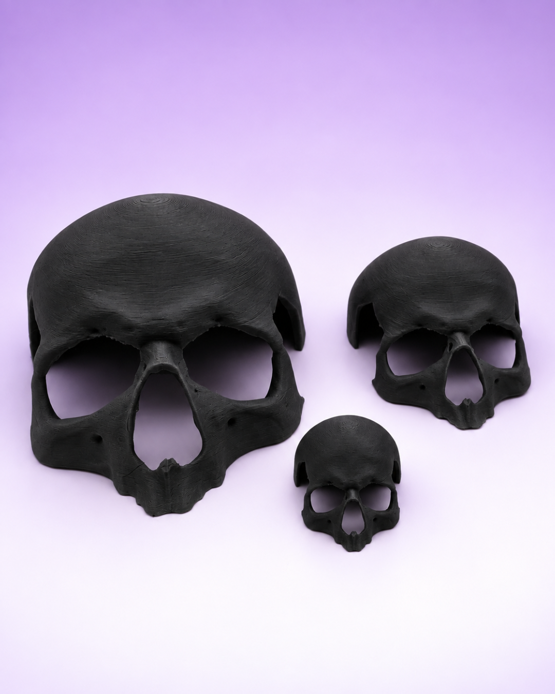 Skull Terrestrial Hide for Tarantulas