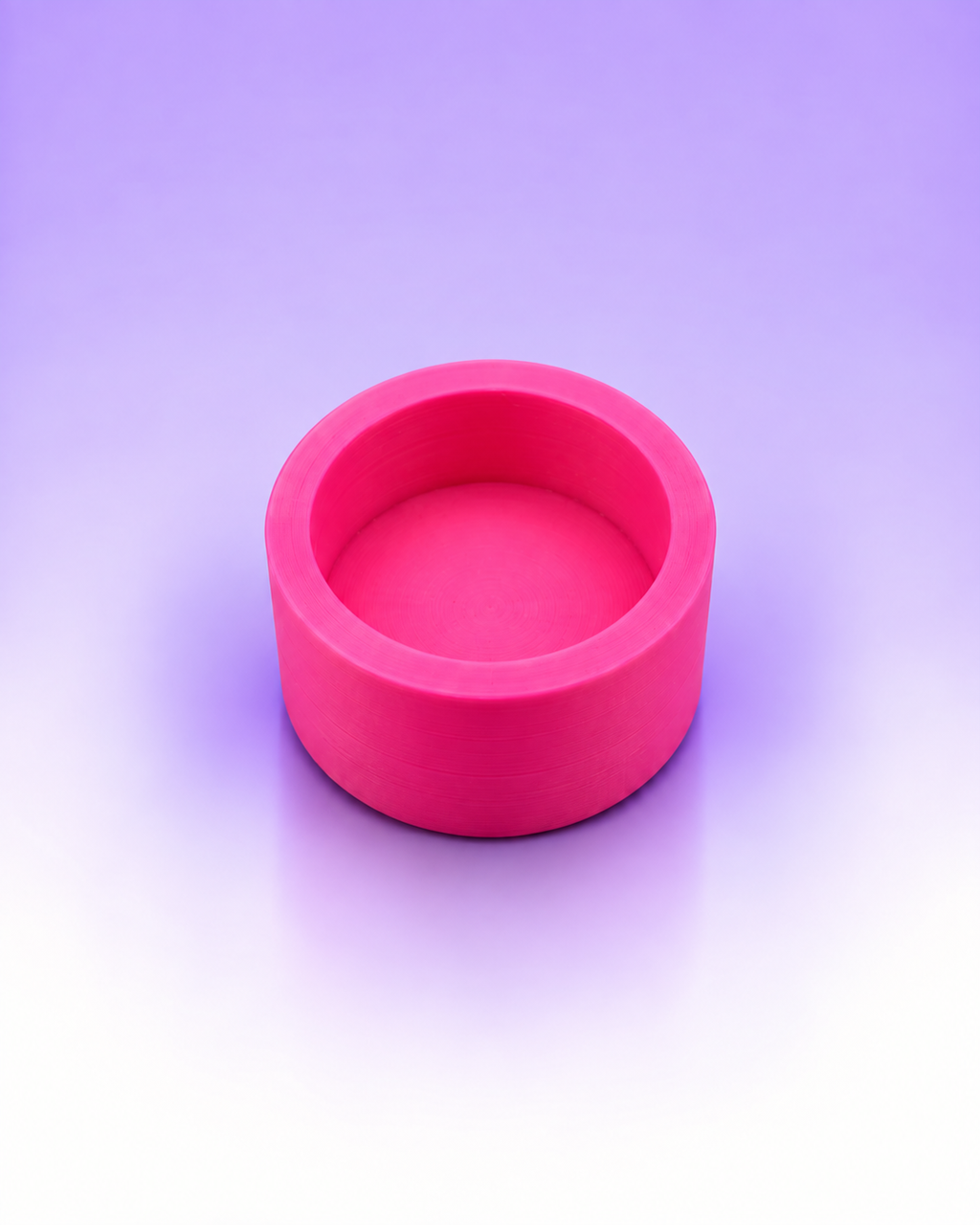 Magnetic Round Jumping Spider Feeding Dish