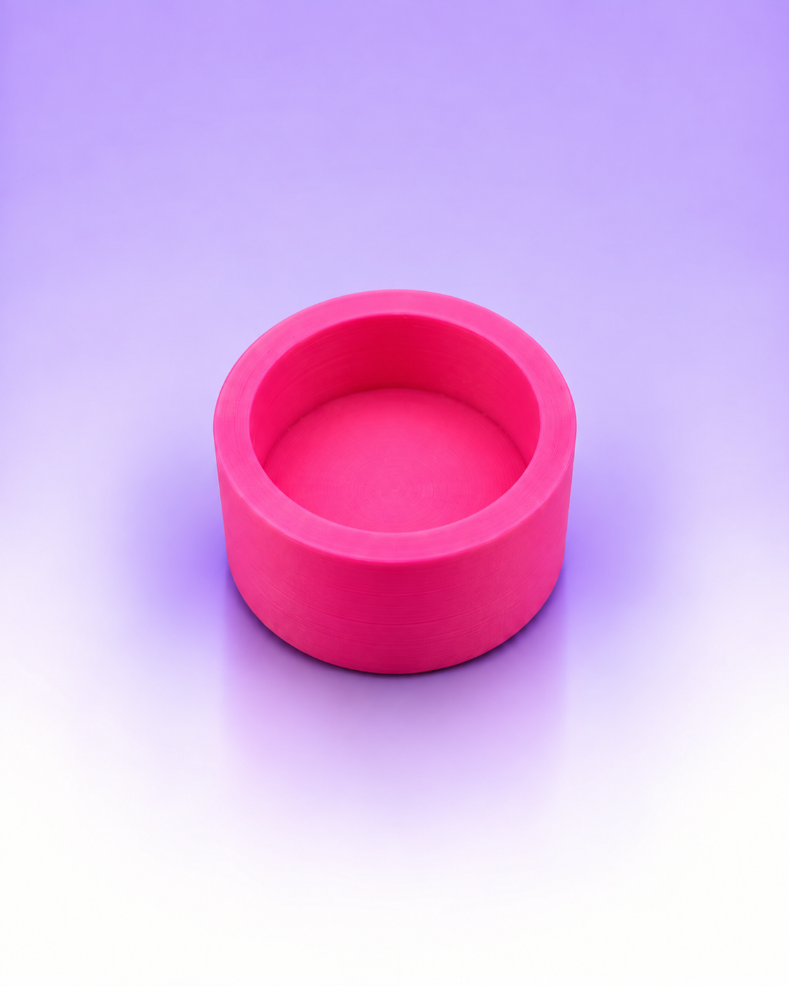 Magnetic Round Jumping Spider Feeding Dish