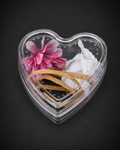 Heart-Shaped Jumping Spider Enclosure for Slings & Juveniles | Complete Decorative Habitat