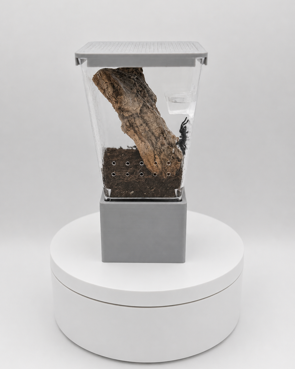 Prism Pod™ Complete Habitat | Ready-to-Use Arboreal Tarantula Sling Enclosure