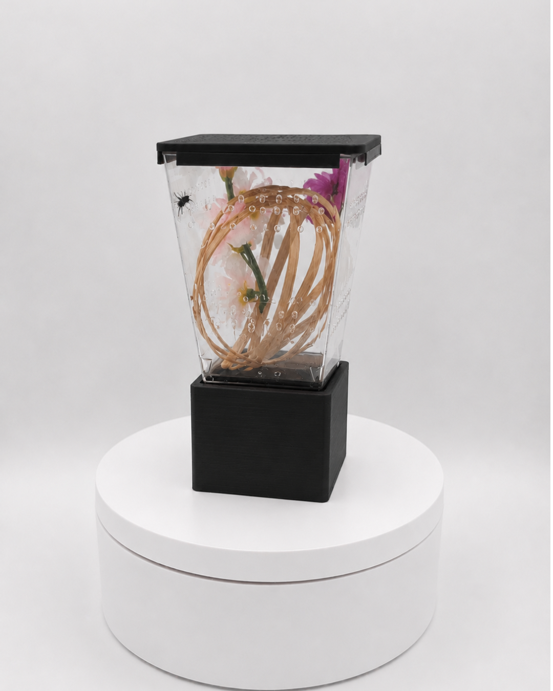 Prism Pod™ Complete Jumping Spider Sling Habitat Kit
