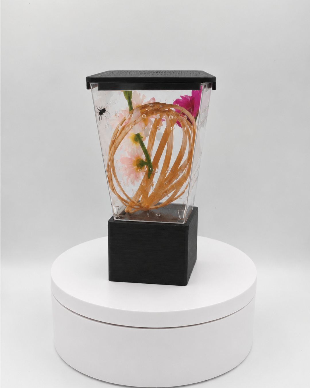 Prism Pod™ Complete Jumping Spider Sling Habitat Kit
