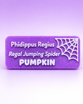 Personalized Magnetic Enclosure Plaque
