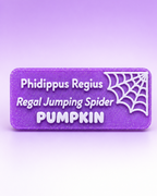 Personalized Magnetic Enclosure Plaque