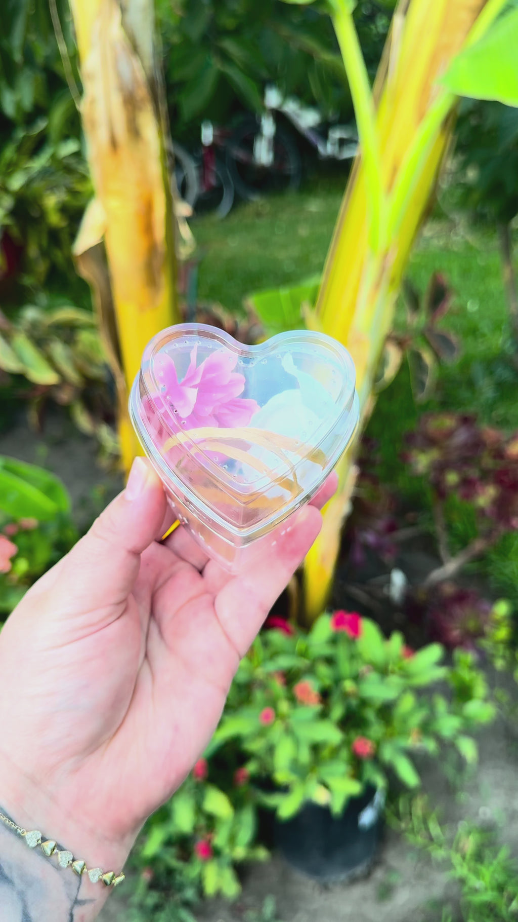 Heart-Shaped Decorated Jumping Spider Sling Enclosure