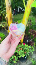 Heart-Shaped Decorated Jumping Spider Sling Enclosure