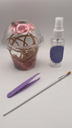 Jumping Spider Starter Kit