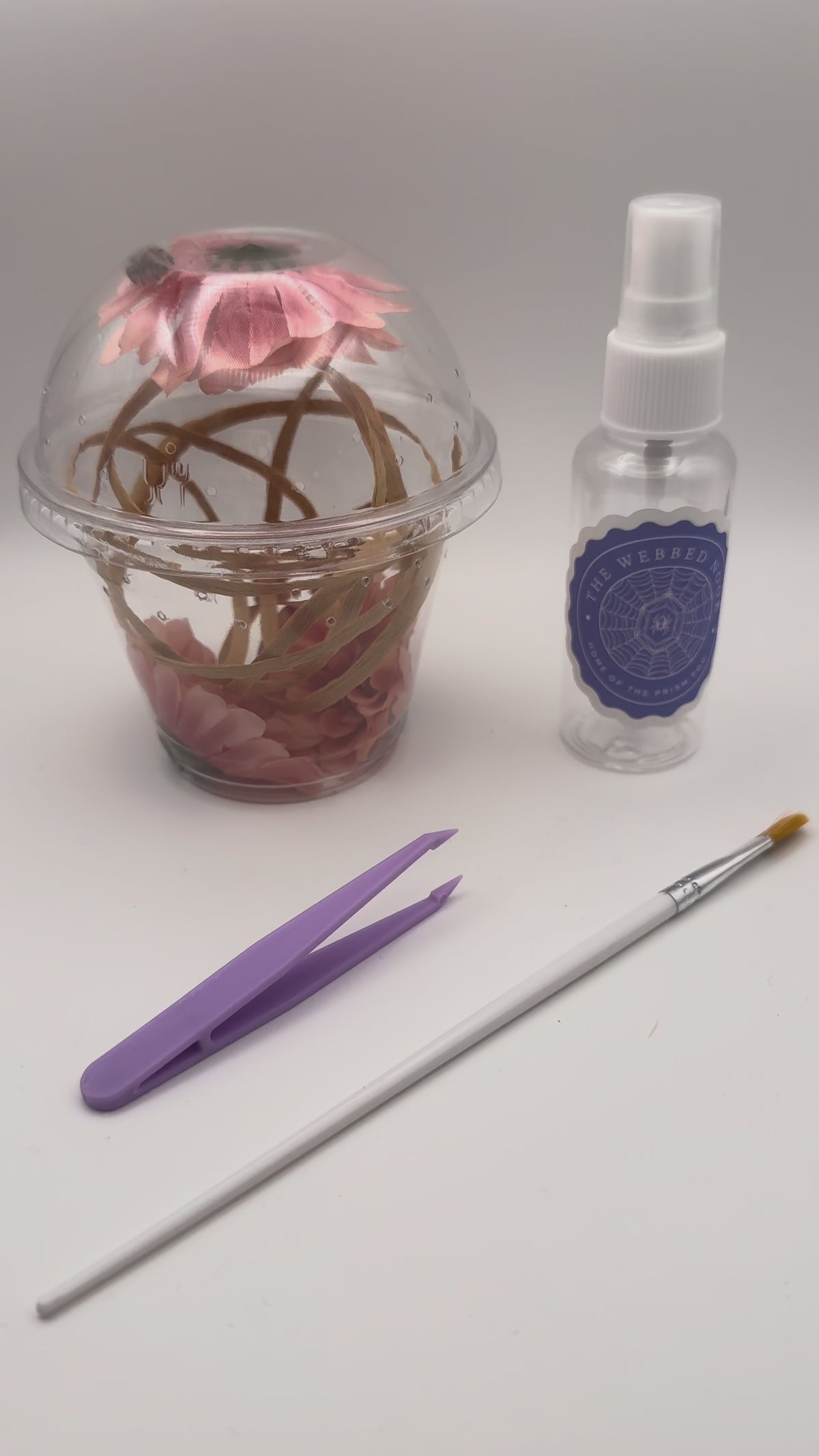 Jumping Spider Starter Kit
