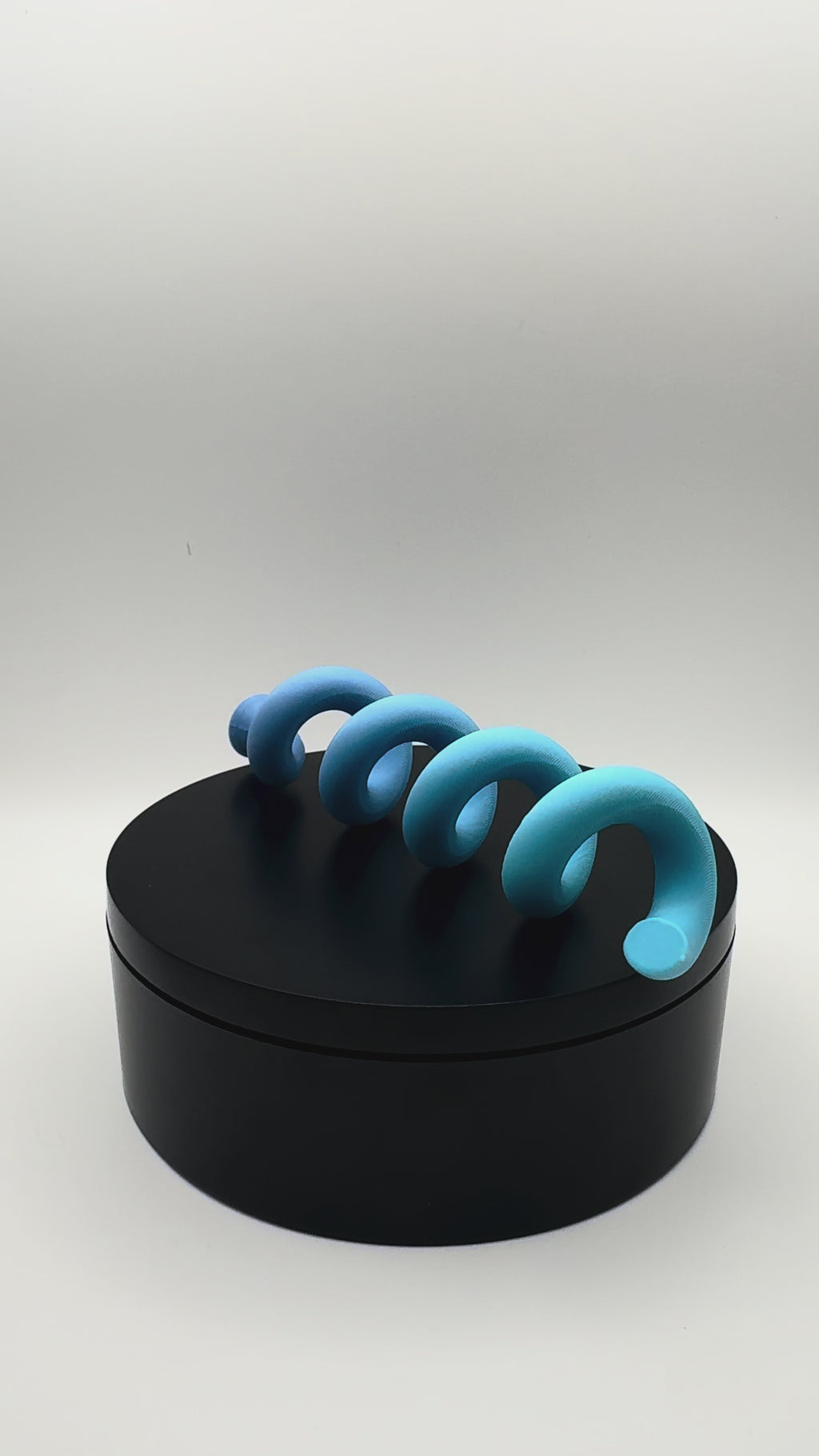Magnetic Spiral Enrichment Toy for Jumping Spiders