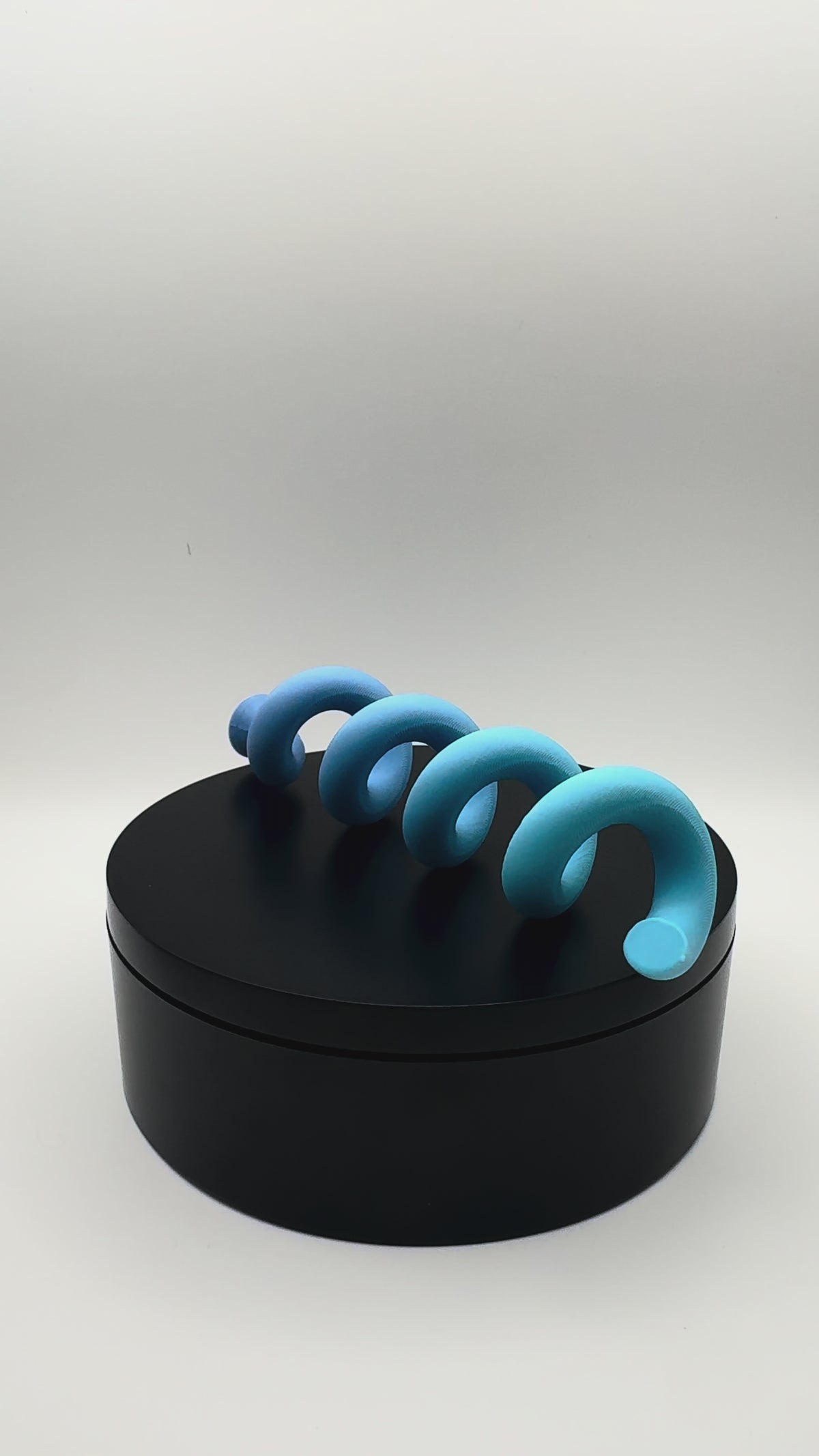 Magnetic Spiral Enrichment Toy for Jumping Spiders