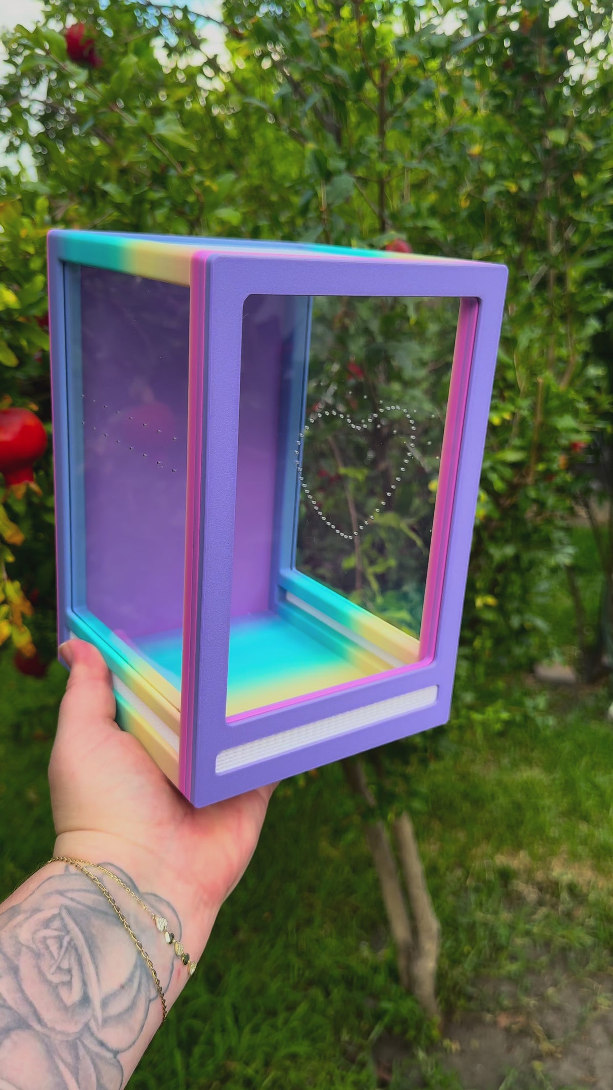 Custom Color 5×5×8" Jumping Spider Enclosure