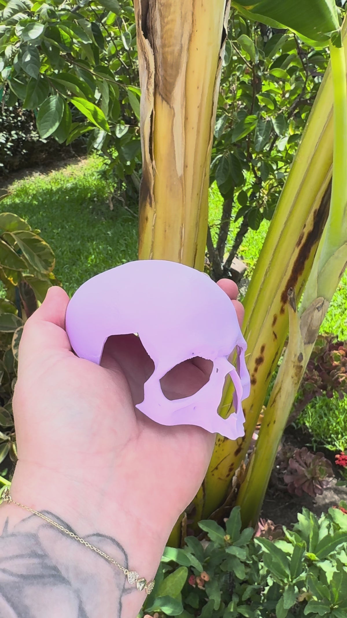 Skull Terrestrial Hide for Tarantulas