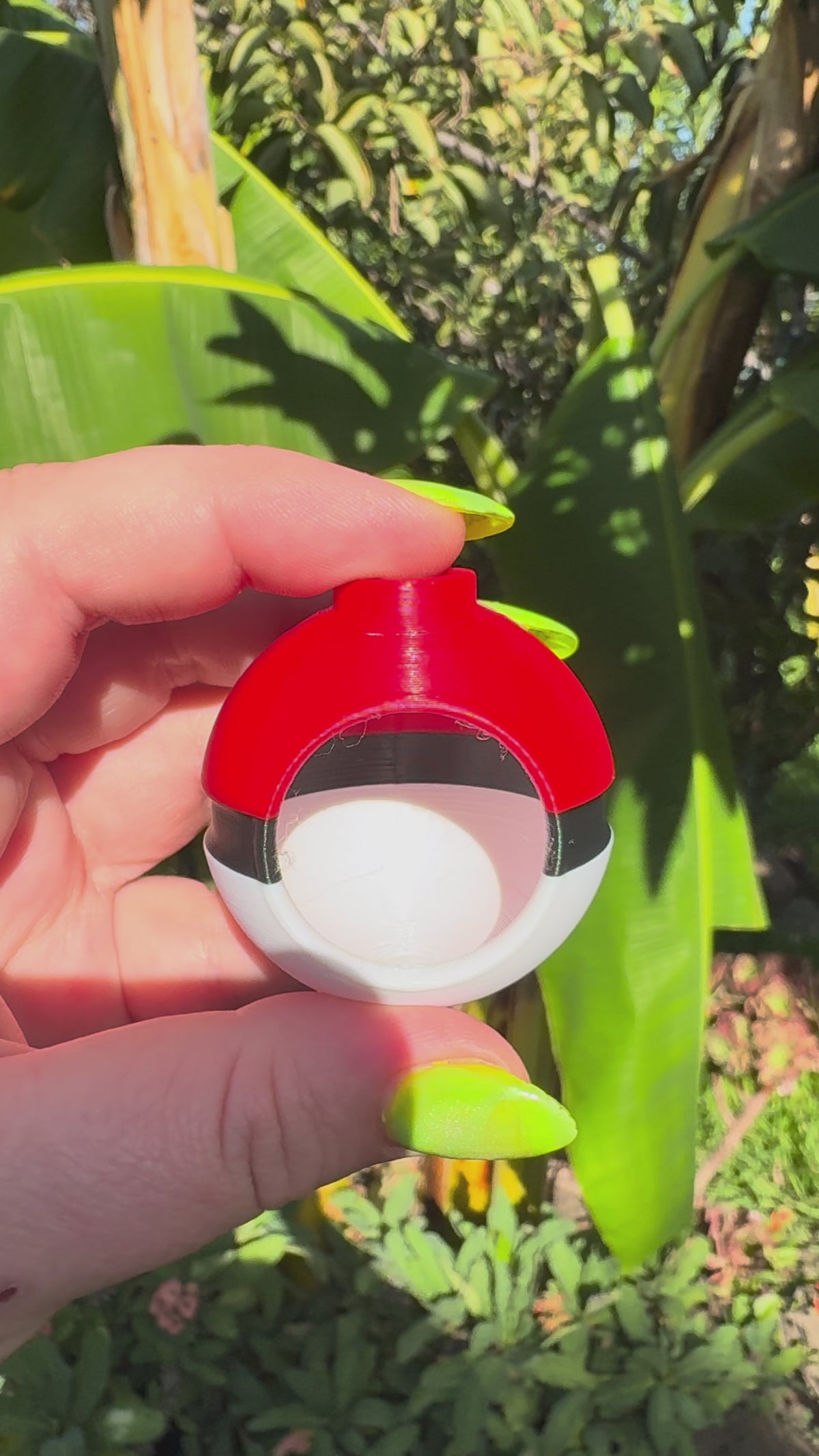 Magnetic Creature Capsule Jumping Spider Hide