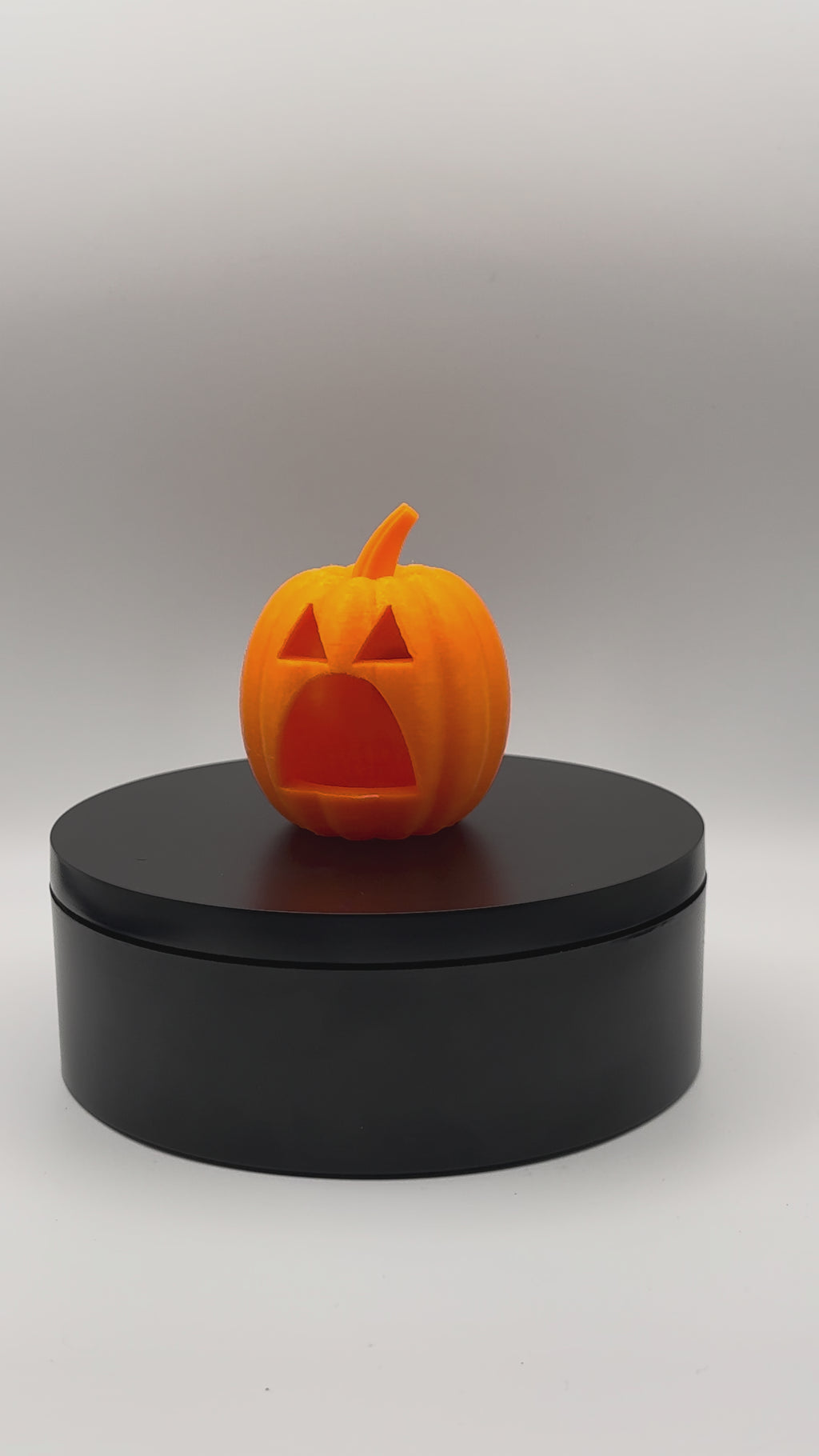 Magnetic Jack-O'-Lantern Jumping Spider Hide