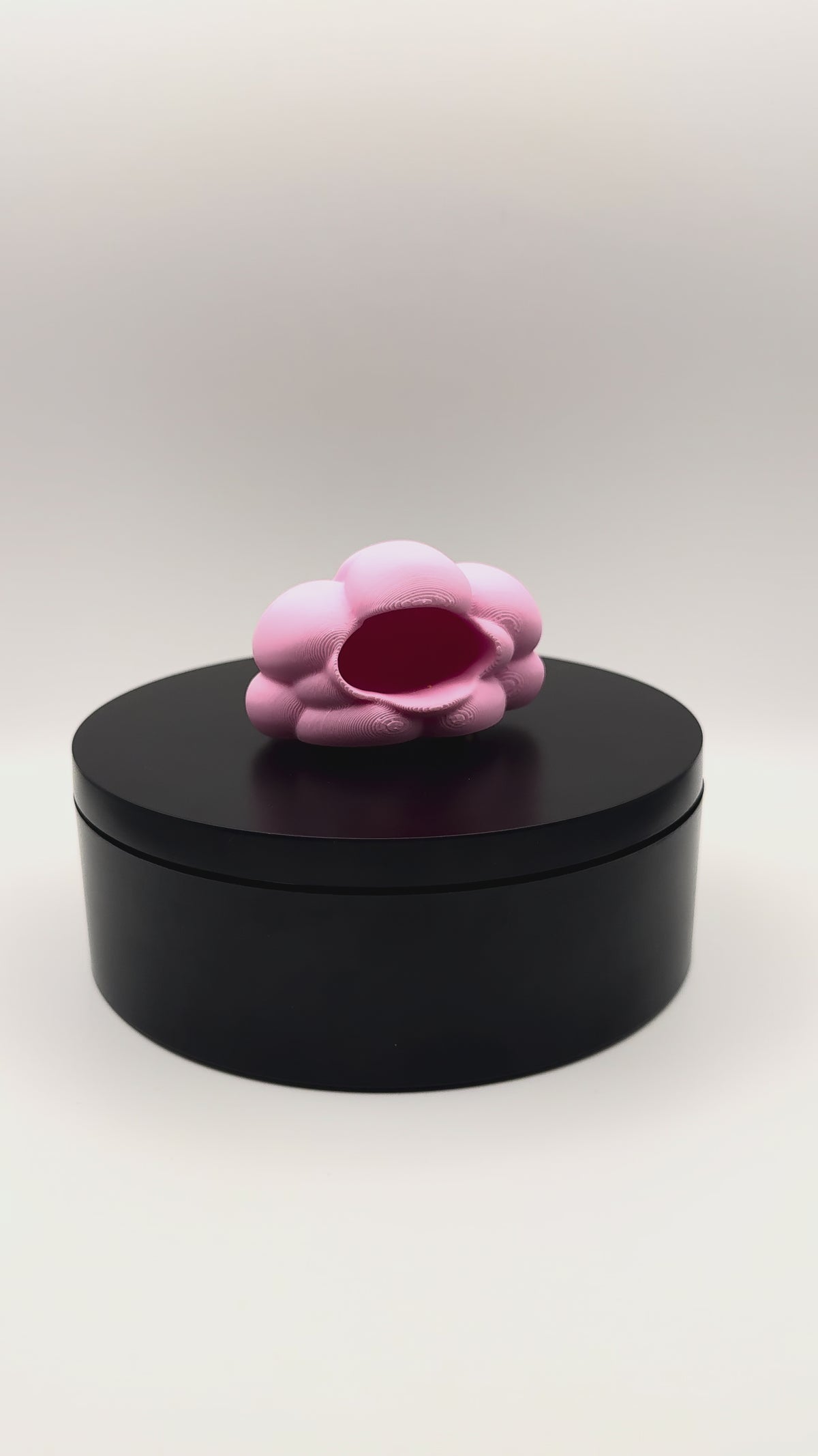 Magnetic Fluffy Cloud Hide for Jumping Spiders