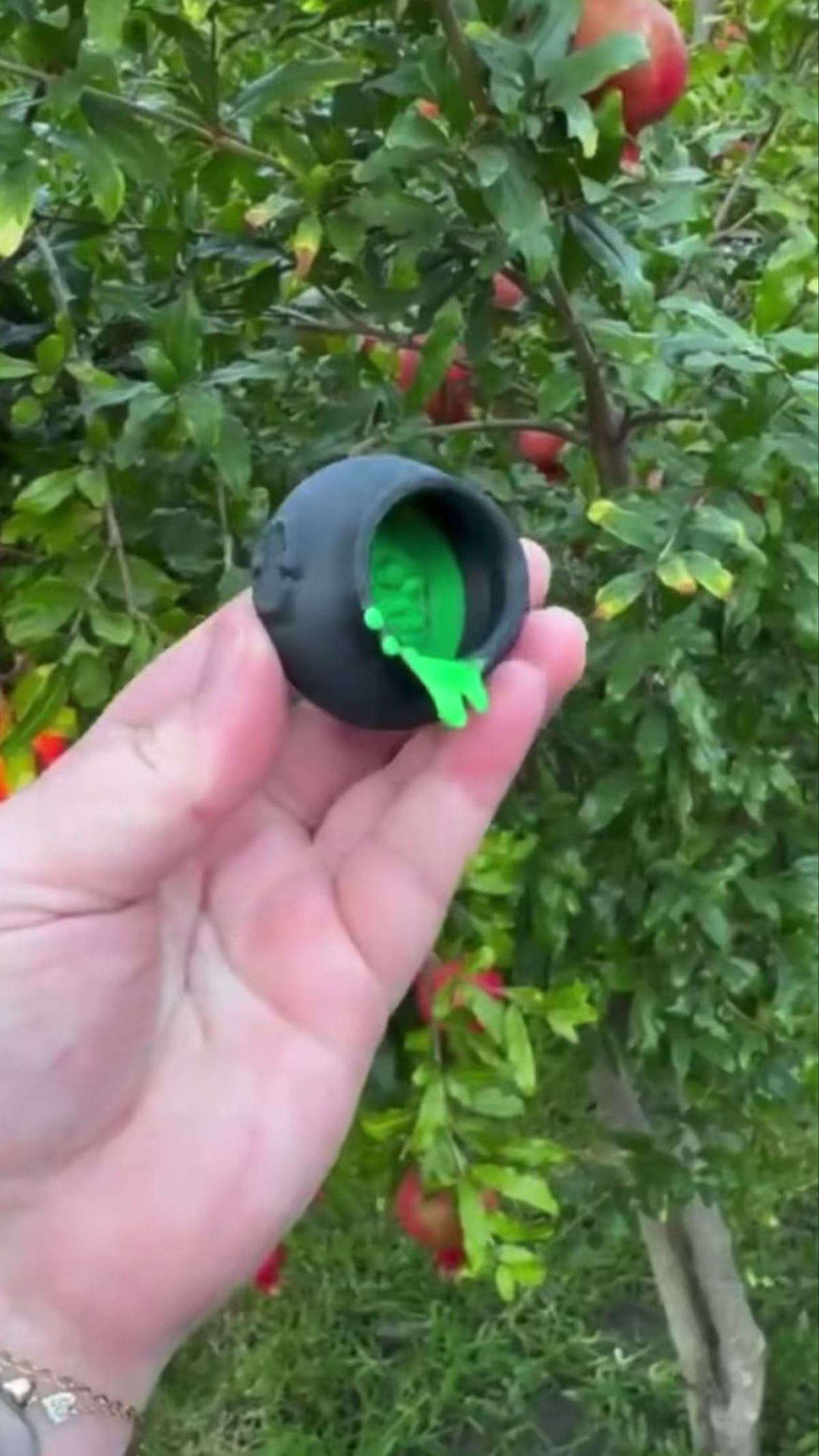 Magnetic Oozing Cauldron Jumping Spider Hide